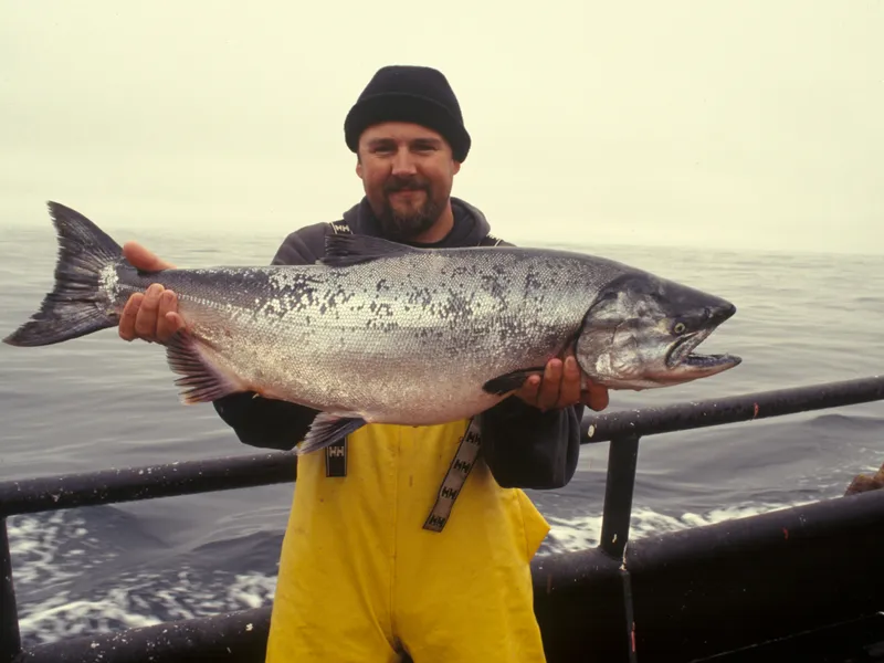 Fornøyde fisketurister bruker export.fish rapporteringsapp