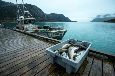Sjekkliste for turistfiskebedrift: siste gjennomgang før gjesten reiser hjem