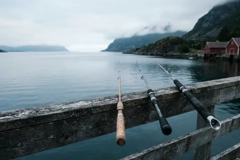 Forskjellen på fritidsfiske, sportsfiske og turistfiske